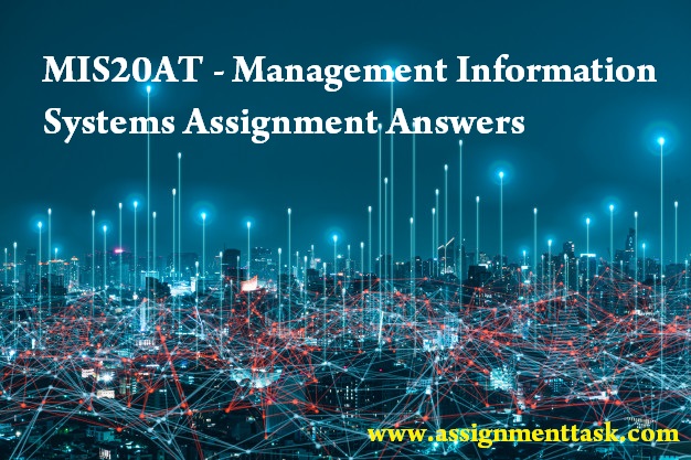 Management-Information-Systems-Assignment