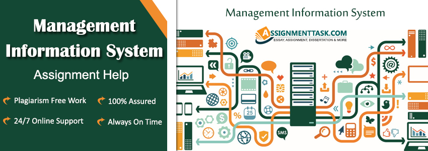 management-information-system-assignment-help